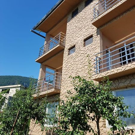 غاغرا Guesthouse On Sovhoznaya 18 المظهر الخارجي الصورة