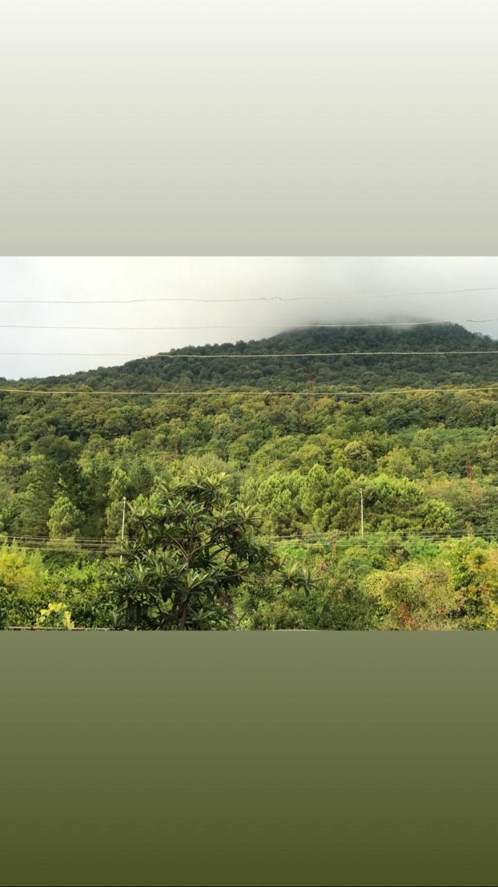 غاغرا Guesthouse On Sovhoznaya 18 المظهر الخارجي الصورة